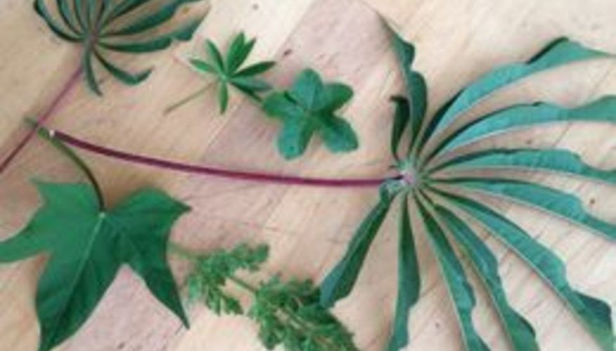Gather leaves. Gather leaves.