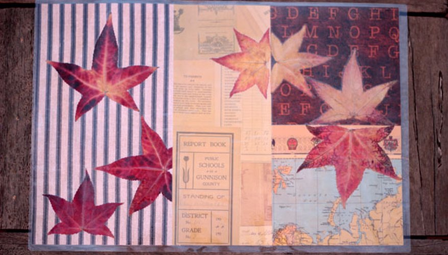 Laminated Leaves Placemat Laminated Leaves Placemat