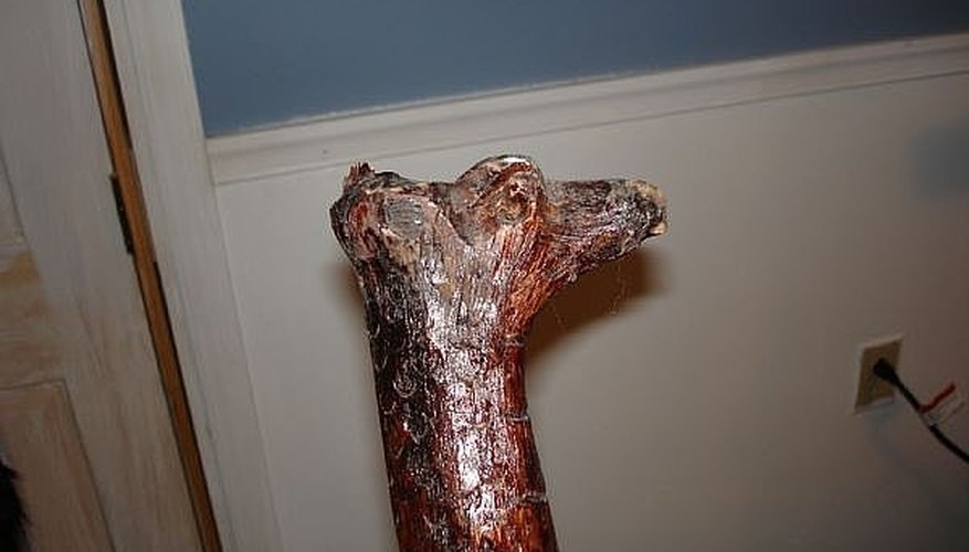 My Dragon Head Walking Stick My Dragon Head Walking Stick
