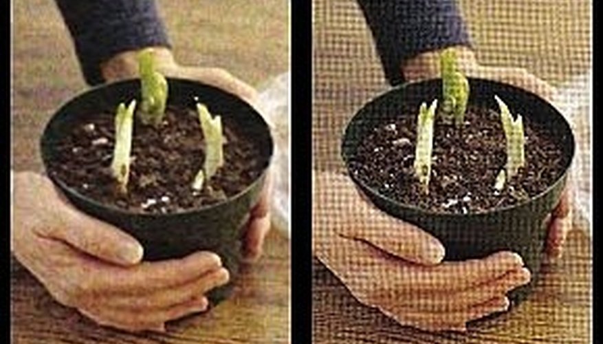 Before and After Image Editing Before and After Image Editing