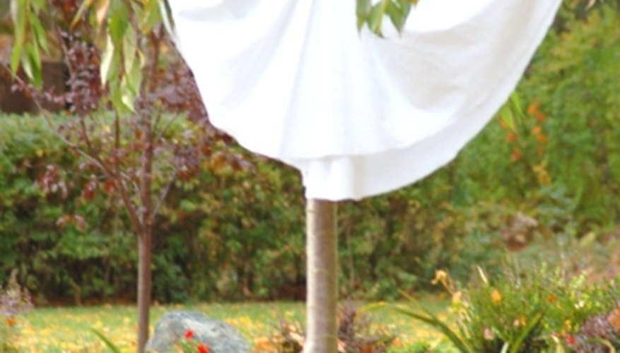 Flying Tree Ghost Flying Tree Ghost