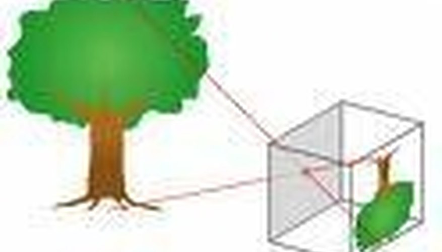 How Does a Pinhole Camera Work? How Does a Pinhole Camera Work?