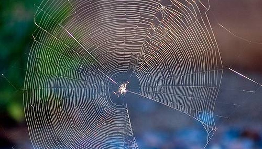 Photo by kretyen~ flickr Photo by kretyen~ flickr