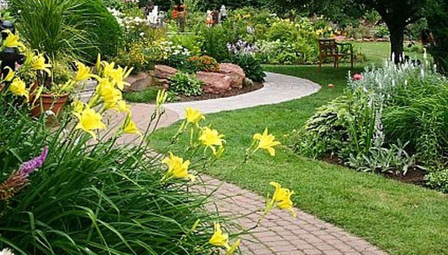 Grow a Thick Healthy Lawn Grow a Thick Healthy Lawn