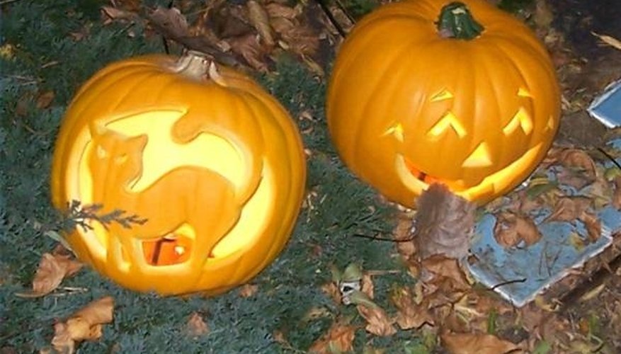 How Does a Pumpkin Reproduce? How Does a Pumpkin Reproduce?
