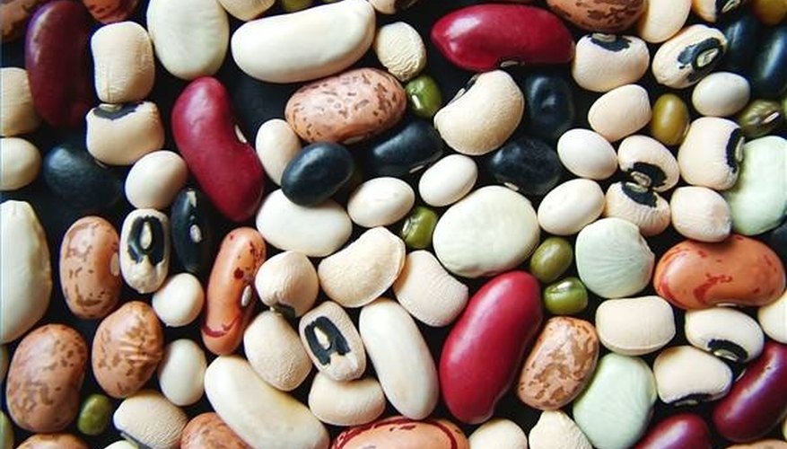 What Are the Parts of a Bean Seed? What Are the Parts of a Bean Seed?