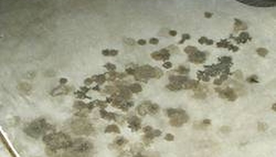 Oil Stains Oil Stains