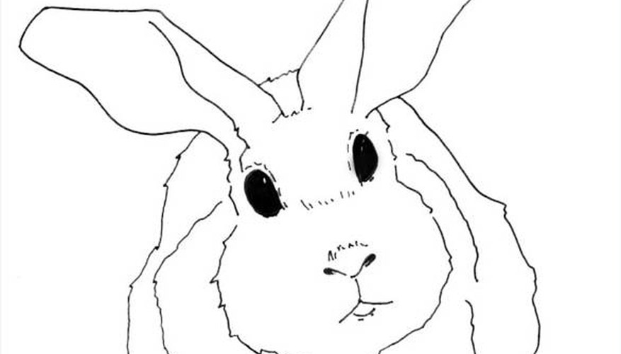Draw Rabbits Draw Rabbits