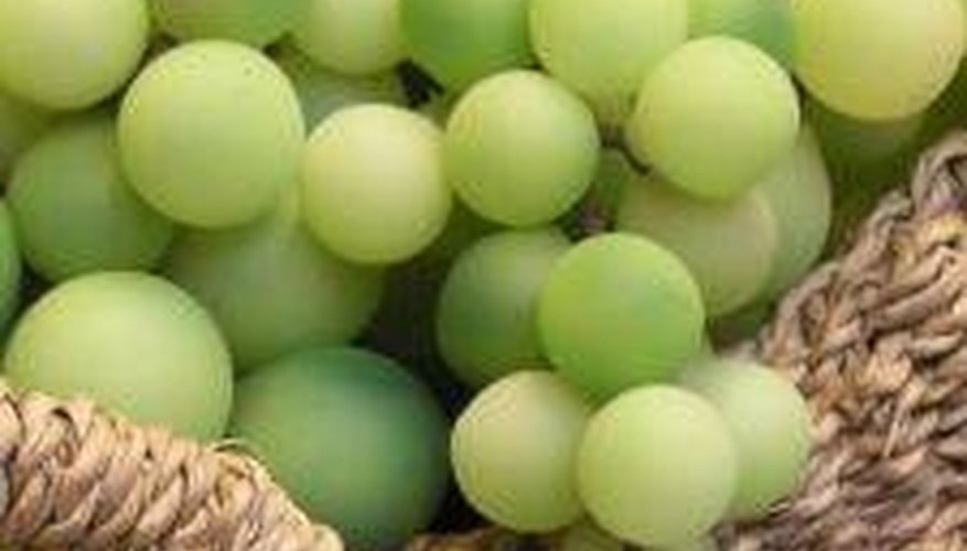 Make Artificial Fruit Decorations Make Artificial Fruit Decorations
