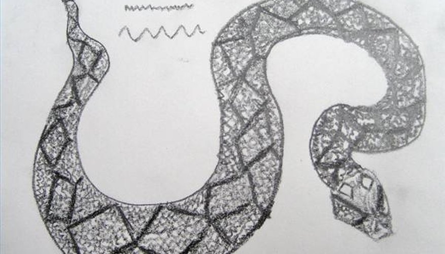 Draw the scales on the diamondback rattlesnake. Draw the scales on the diamondback rattlesnake.