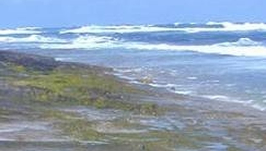 Overuse of fertilizer--especially phosphates--hurts the environment. Overuse of fertilizer--especially phosphates--hurts the environment.