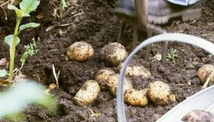 harvesting harvesting