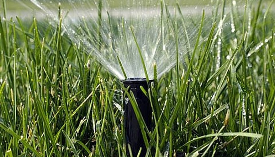 Place Flower Pots Under Sprinkler System Place Flower Pots Under Sprinkler System