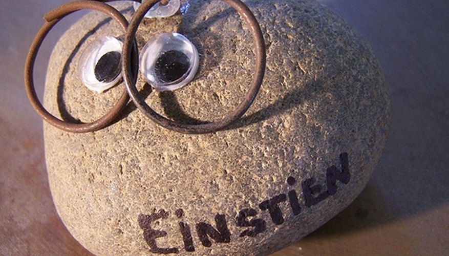 The History of the Pet Rock The History of the Pet Rock