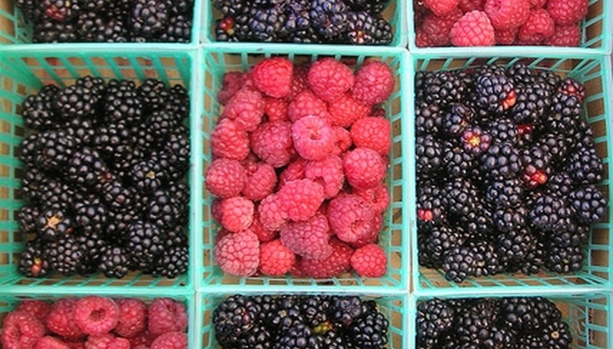 Blackberries Vs. Black Raspberries Blackberries Vs. Black Raspberries