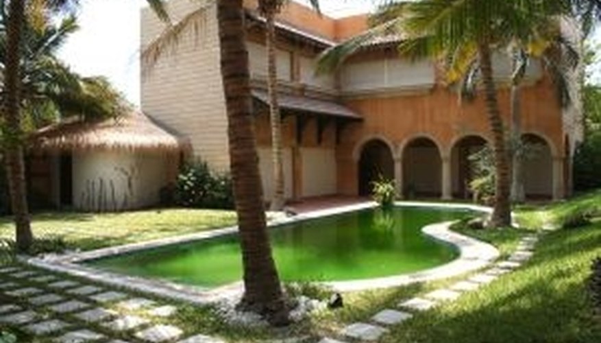 If not maintained, an old swimming pool is an eyesore. If not maintained, an old swimming pool is an eyesore.
