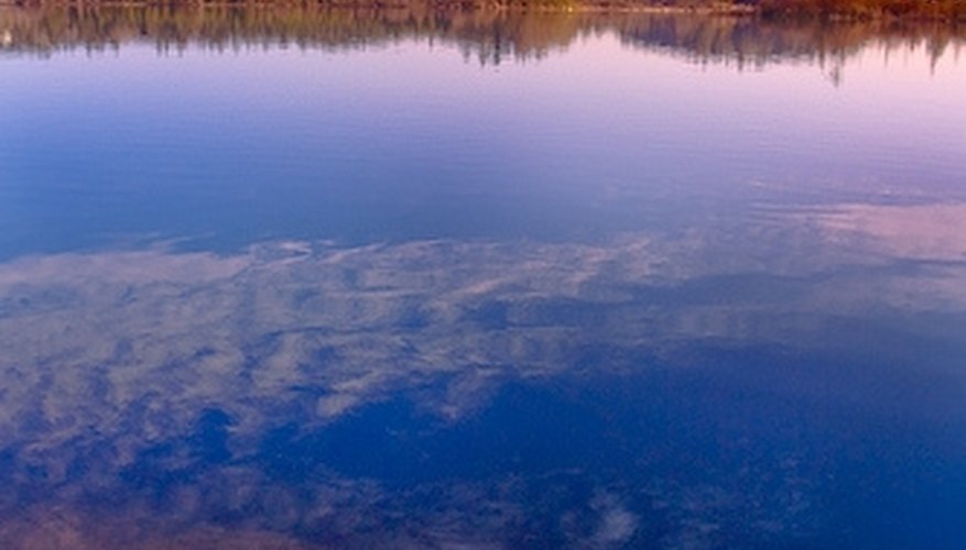 Fertilizer can cause algae blooms. Fertilizer can cause algae blooms.