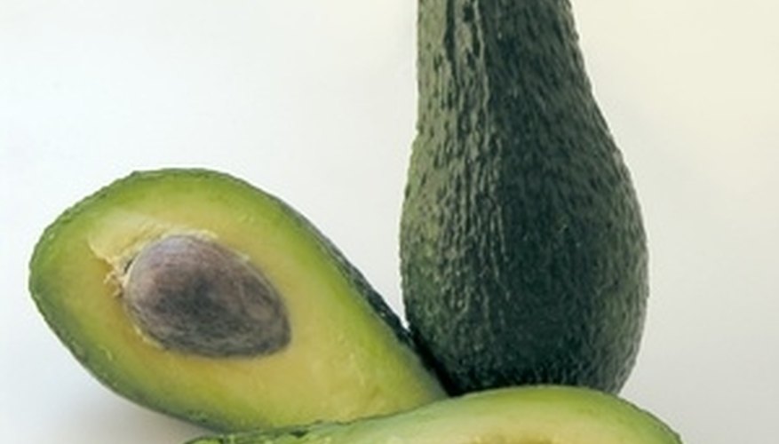 Avocado fruit. Avocado fruit.