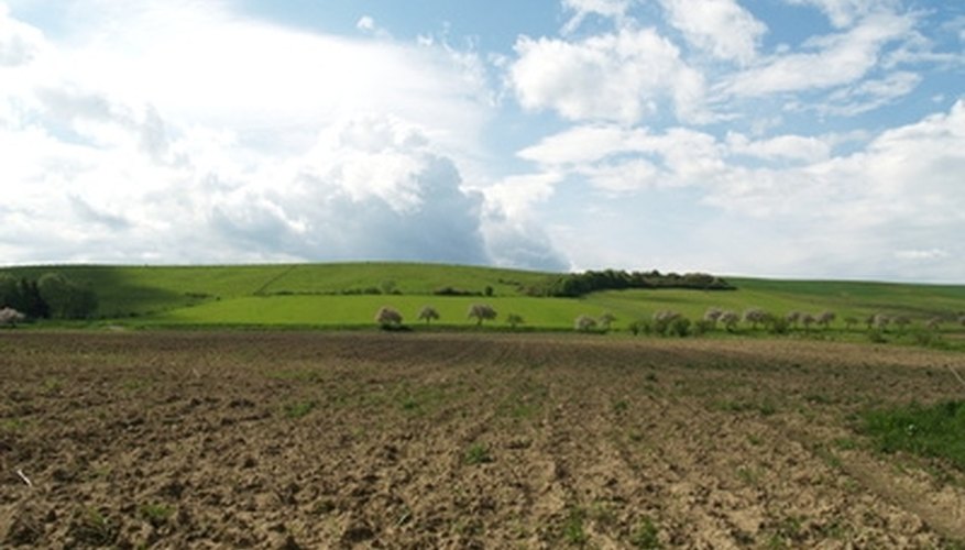 Urea is most commonly used in fertilizer. Urea is most commonly used in fertilizer.