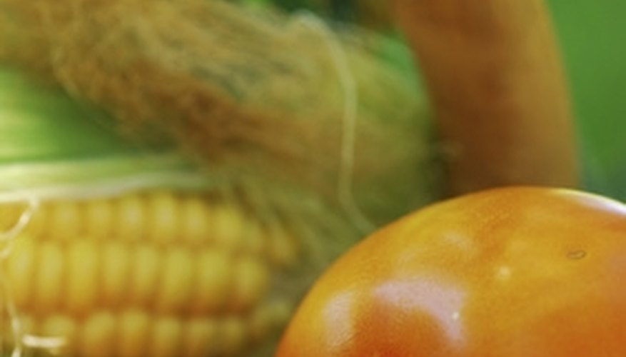 Erysiphe, a fungi which causes PM commonly affects flowers and vegetables. Erysiphe, a fungi which causes PM commonly affects flowers and vegetables.
