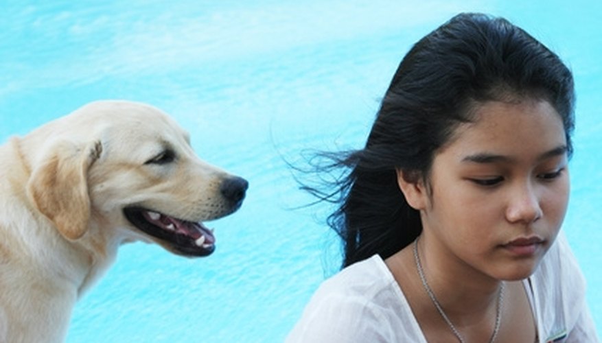 Keep an eye on Fido if he's allowed in the pool. Keep an eye on Fido if he's allowed in the pool.