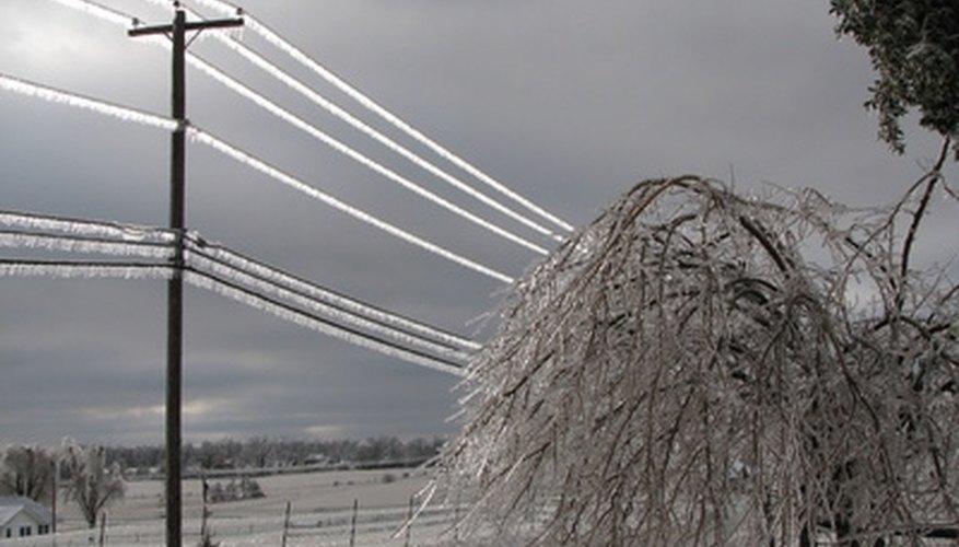Ice storms can cause poplars to lose branches and limbs. Ice storms can cause poplars to lose branches and limbs.