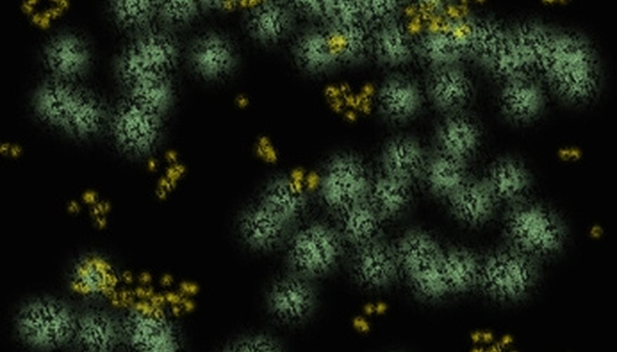 Fireflies give off a luminescence often to attract a mate. Fireflies give off a luminescence often to attract a mate.