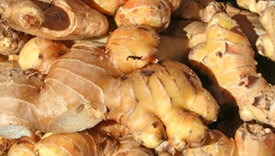 Ginger root is one of the herbs used in curry powder. Ginger root is one of the herbs used in curry powder.