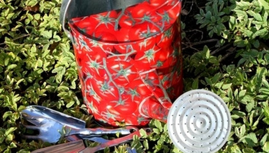 Fertilize the dish garden no more than once a month. Fertilize the dish garden no more than once a month.