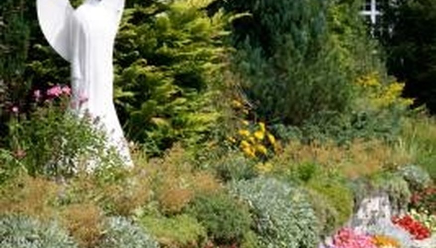 The arborvitae is a common garden and landscape feature. The arborvitae is a common garden and landscape feature.