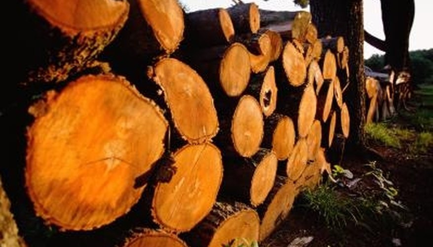 Firewood Stacked to Dry. Firewood Stacked to Dry.