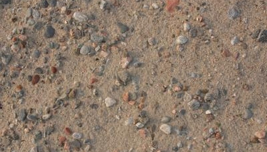 Sandy or stony soils suit lavender and rosemary Sandy or stony soils suit lavender and rosemary