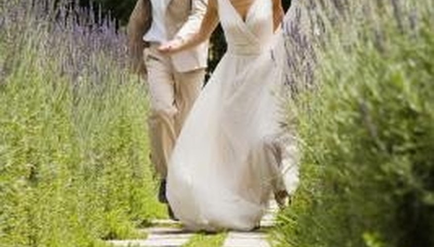 A flowering lavender hedge is a garden classic. A flowering lavender hedge is a garden classic.