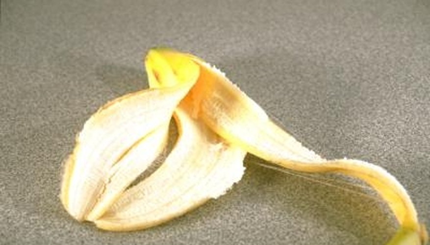 Fresh fruit waste is an easy source of green material for the compost pile. Fresh fruit waste is an easy source of green material for the compost pile.
