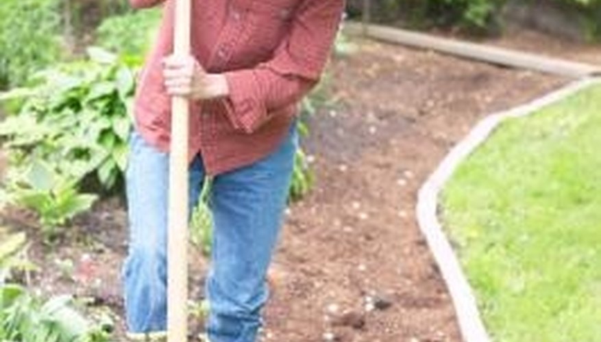 A smaller vegetable plot is just right for the novice gardener. A smaller vegetable plot is just right for the novice gardener.