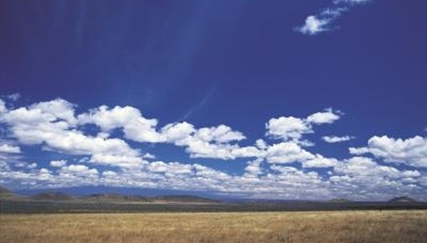 Many grassland fields are made of one or two main types of grasses. Many grassland fields are made of one or two main types of grasses.
