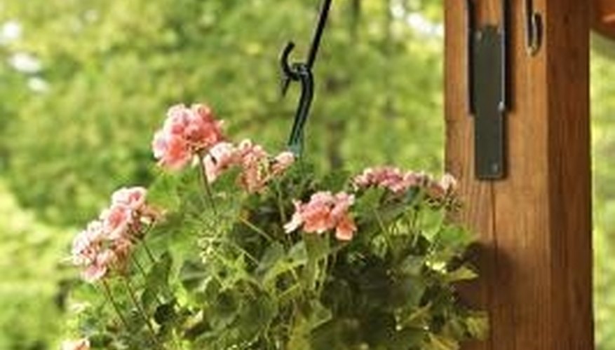 A basket of hanging flowers adds instant color to a porch. A basket of hanging flowers adds instant color to a porch.