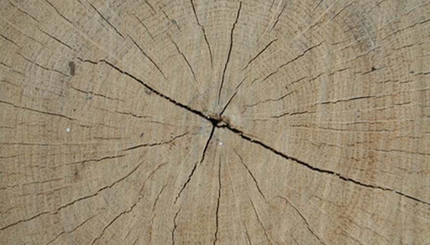 Wood sometimes splits as it dries. Splits and checks can cause problems for wood turners. Wood sometimes splits as it dries. Splits and checks can cause problems for wood turners.