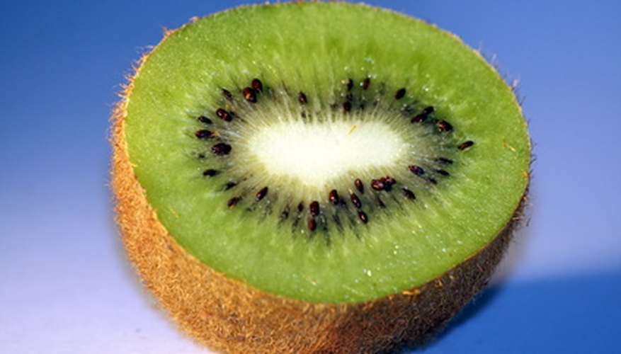 Kiwi fruit are versatile, tasty and healthy. Kiwi fruit are versatile, tasty and healthy.