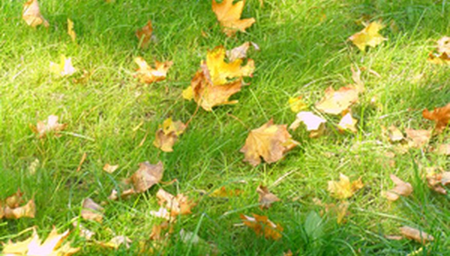 Water timers produce healthy lawns with the correct amount of water at each interval. Water timers produce healthy lawns with the correct amount of water at each interval.