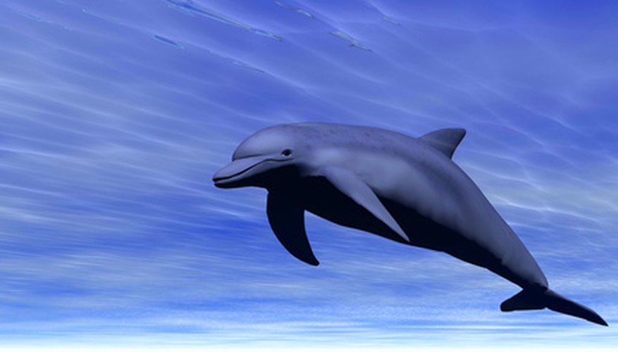 With a little time and patience, forming chicken wire to create a dolphin is fun. With a little time and patience, forming chicken wire to create a dolphin is fun.