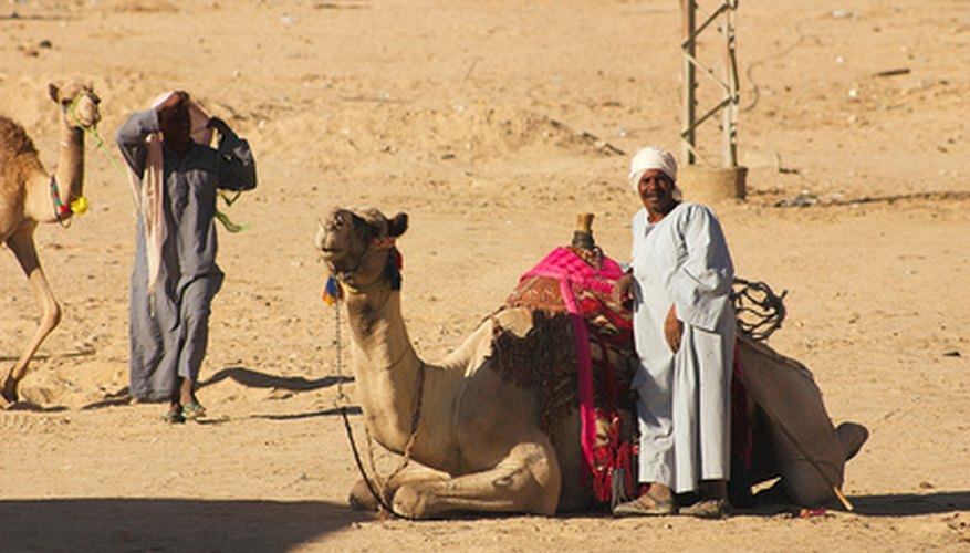 Lawrence of Arabia's costume is a blend between Arabian knight, like Aladdin and Bedouin tribesman. Lawrence of Arabia's costume is a blend between Arabian knight, like Aladdin and Bedouin tribesman.