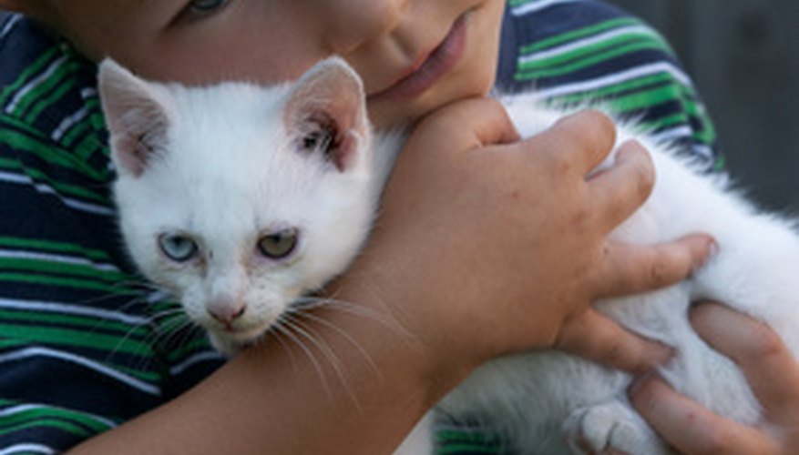 Young children and pets can accidentally swallow pesticides if they are within reach. Young children and pets can accidentally swallow pesticides if they are within reach.