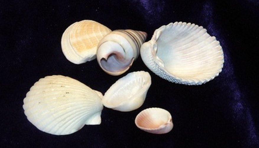 Velvet is often made of silk. Velvet is often made of silk.