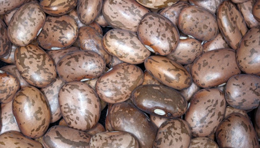 Make these beans colorful and fun by dying them. Make these beans colorful and fun by dying them.
