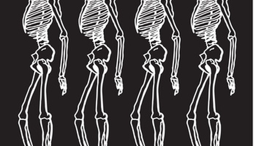 Skeletons make great Halloween decorations. Skeletons make great Halloween decorations.