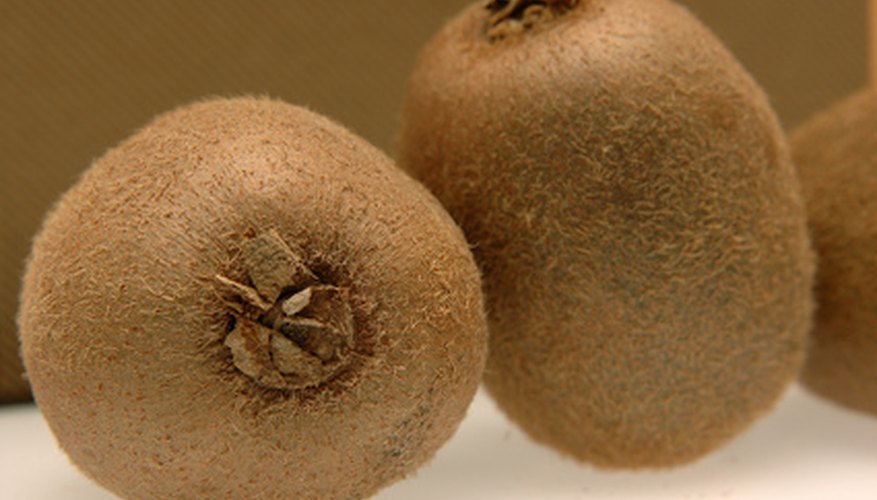 Kiwis contain high amounts of dietary fiber, which can help prevent diabetes and heart disease Kiwis contain high amounts of dietary fiber, which can help prevent diabetes and heart disease