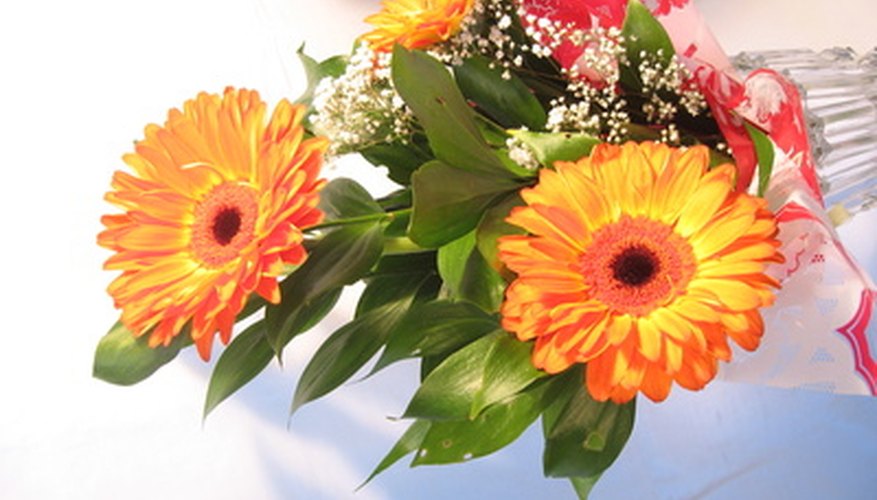 Purchase discounted flowers for your home. Purchase discounted flowers for your home.