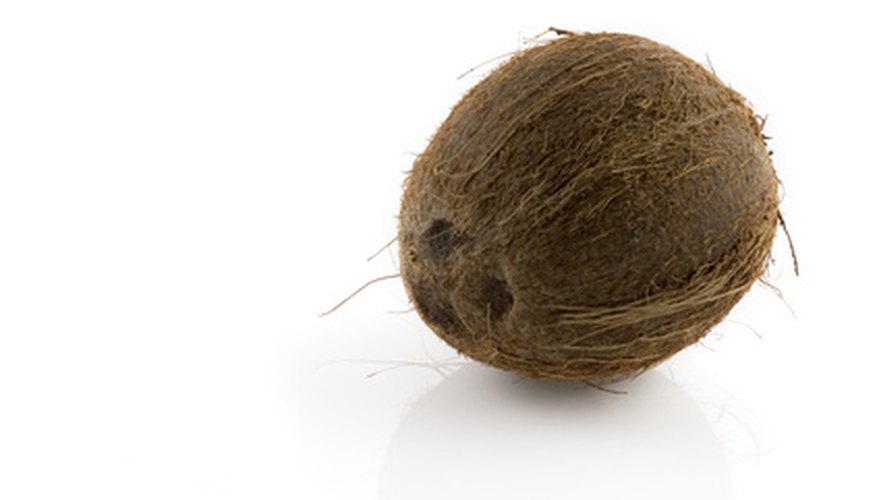 Use a cocunut for crafts, or do crafts depicting coconuts and coconut trees. Use a cocunut for crafts, or do crafts depicting coconuts and coconut trees.