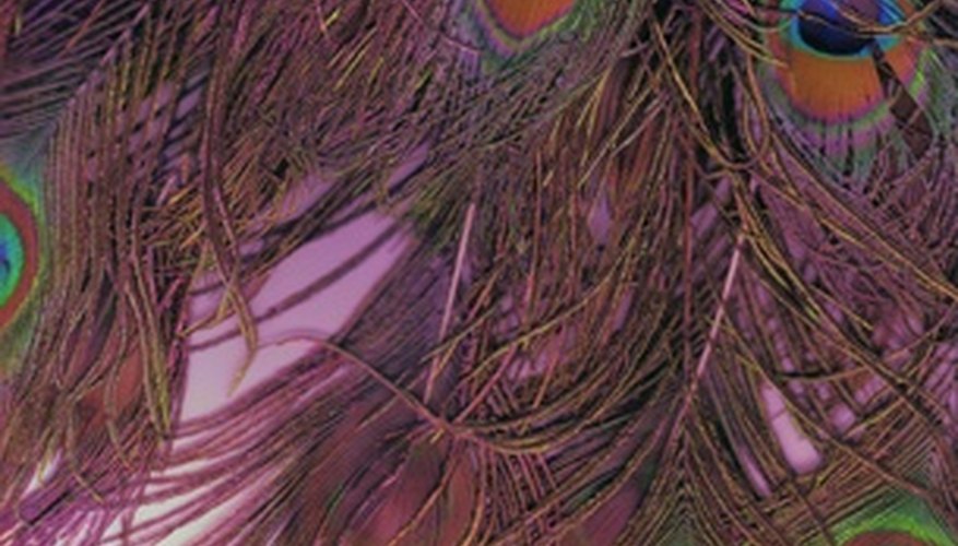 Feathers make light, airy jewelry. Feathers make light, airy jewelry.